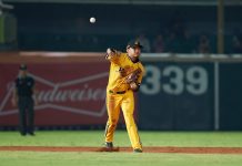 中職/弟弟岳政華挑戰職棒 岳東華建議要有抗壓力