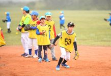 棒球/迷你棒球學院畫句點 張泰山領軍冬令營緊接登場