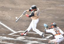 日職/王柏融敲1安打 火腿敗給軟銀鷹