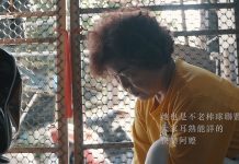 二月份封面人物_不老棒球二部曲_陪伴與新生