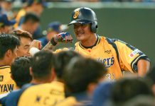 中職/林智勝8打點追平本土紀錄 兄弟扳倒桃猿