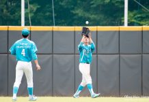 中職/岳政華攻守型態相似 視張志豪為發展模板